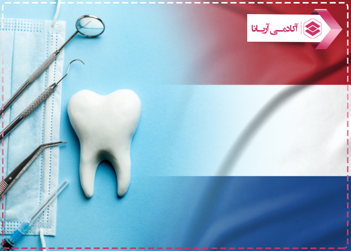 تحصیل دندانپزشکی در هلند